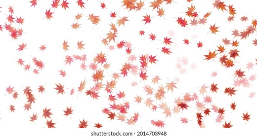 Autumn leaves maple autumn background 