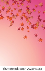 Autumn leaves maple autumn background