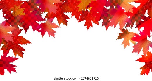 Autumn leaves maple autumn background