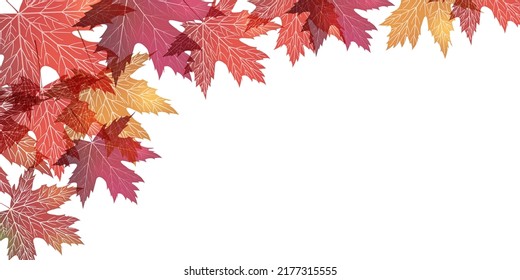 Herbstblätter Ahornherbsthintergrund