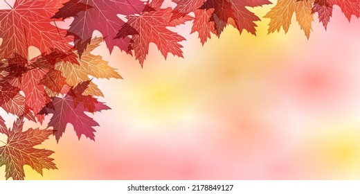 Autumn leaves maple autumn background