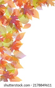 Autumn leaves maple autumn background
