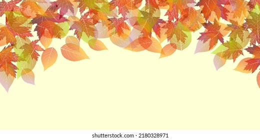Autumn leaves maple autumn background