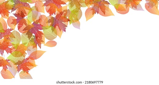 Autumn leaves maple autumn background