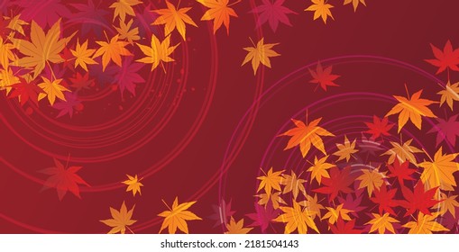 Autumn leaves maple background plants
