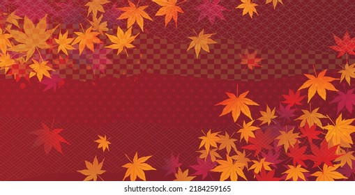 Autumn leaves maple background plants

