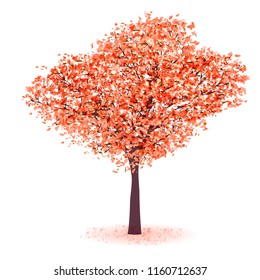 Autumn leaves Maple autumn icon