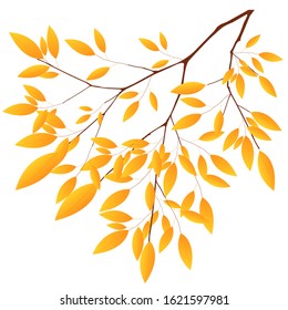 Autumn leaves autumn maple leaves icon