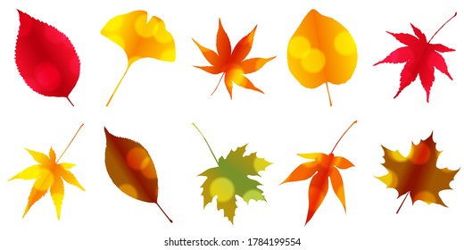 El otoño deja un icono del otoño de arce