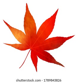 Autumn leaves maple autumn icon