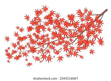 Autumn leaves Maple leaves Autumn Icon