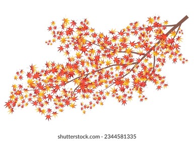 Autumn leaves Maple leaves Autumn Icon