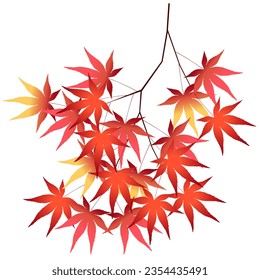 Hojas de otoño hojas de arce iconos de otoño