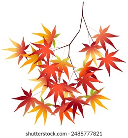 Autumn leaves Maple leaves Autumn Icon