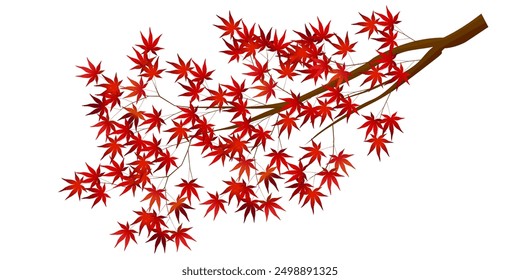 Hojas de otoño Hojas de arce Icono de otoño