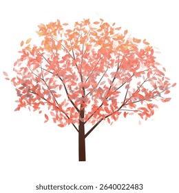 Autumn leaves Maple leaves Autumn Icon