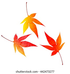 Autumn leaves maple autumn icon