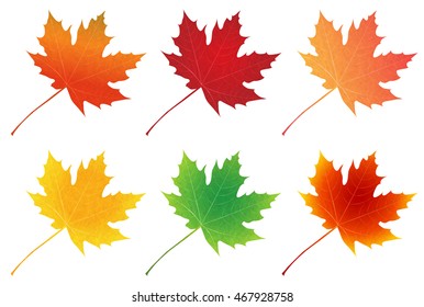 Autumn leaves autumn maple icon