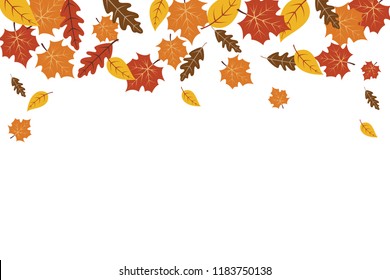 Autumn leaves maple leaf background. Autumn background vector illustration. Leaves vector