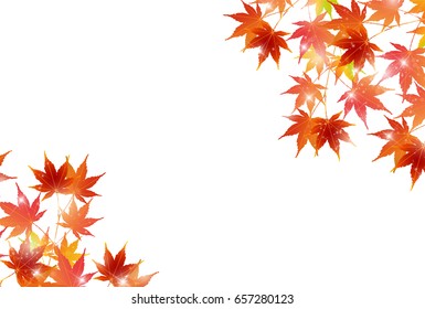 Autumn leaves maple leaf background