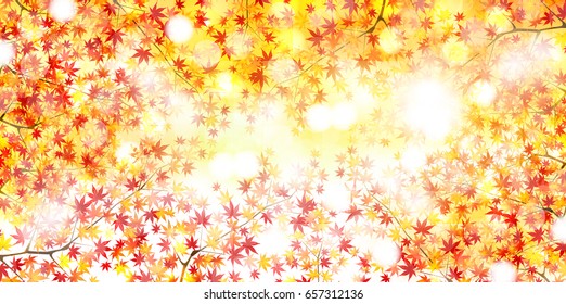 Autumn leaves maple leaf background