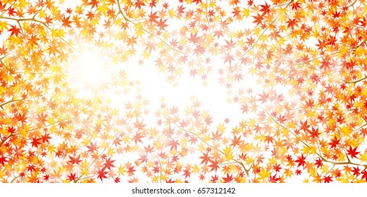 Autumn leaves maple leaf background