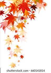 Autumn leaves maple leaf background