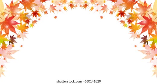 Autumn leaves maple leaf background