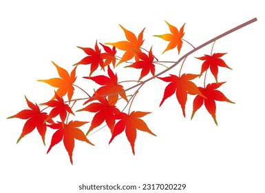 Herbst-Blätter Ahornblättersymbol