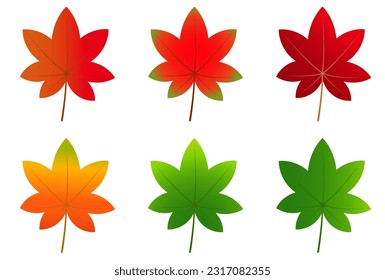 Autumn leaves Maple Leaf Icon