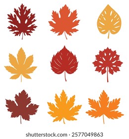 autumn leaves. maple leaf. oak leaf vector