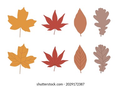 Autumn leaves, maple leaf vector icon illustration set.