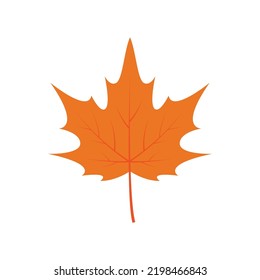 Autumn Leaves or Maple Leaf Vector Icon Autumn Decoration Isolated On White Background. 
Template Flat Icon Vector Style For Autumn Design Elements, Web Apps, Or Business EPS10 Editable.