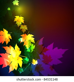 Autumn leaves of a maple. A neon background