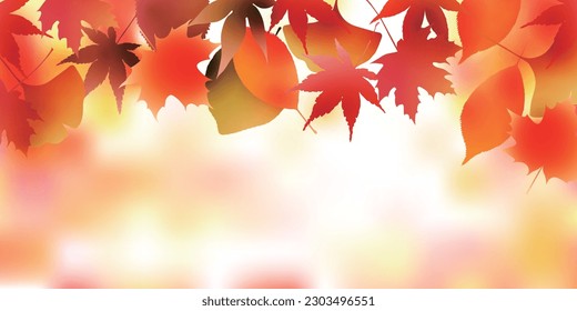 Autumn Leaves Maple Tree Autumn Background