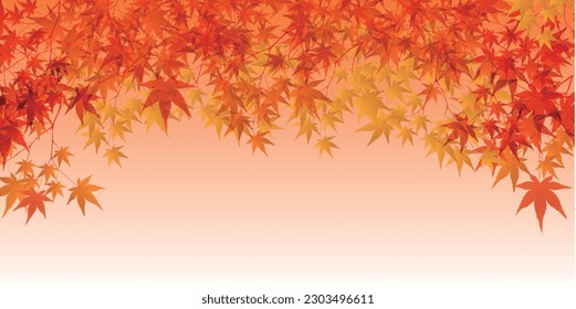 Autumn Leaves Maple Tree Autumn Background