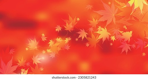 Autumn Leaves Maple Tree Autumn Background