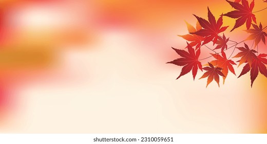 Autumn Leaves Maple Tree Autumn Background