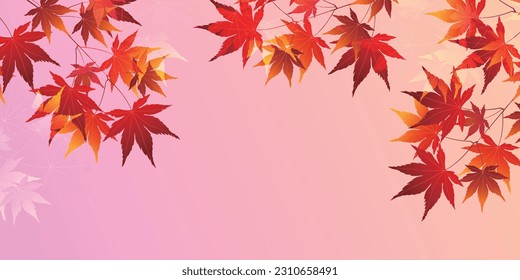 Fondo del otoño de las hojas del árbol de arce del otoño