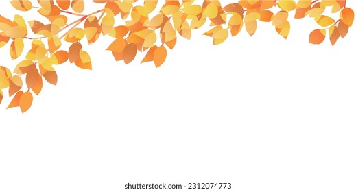 Autumn Leaves Maple Tree Autumn Background