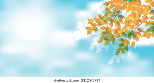 Autumn Leaves Maple Tree Autumn Background