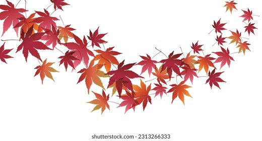 Autumn Leaves Maple Tree Autumn Background