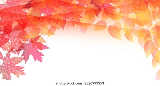 Autumn Leaves Maple Tree Autumn Background