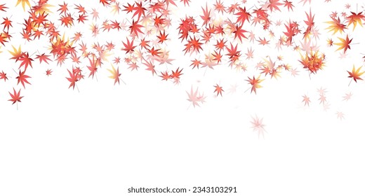 Autumn Leaves Maple Tree Autumn Background