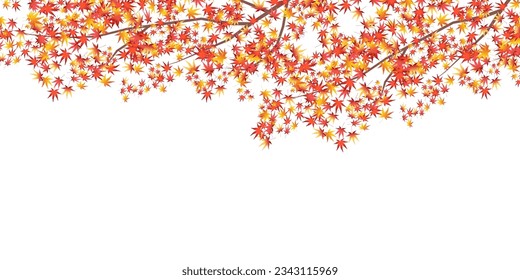 Fondo del otoño de las hojas del árbol de arce del otoño