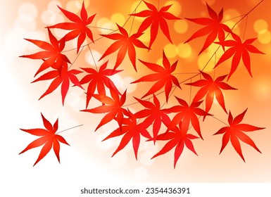 Autumn Leaves Maple Tree Autumn Background