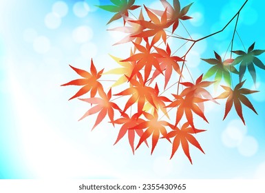 Autumn Leaves Maple Tree Autumn Background