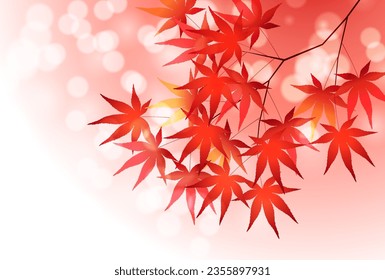Fondo del otoño de las hojas del árbol de arce del otoño