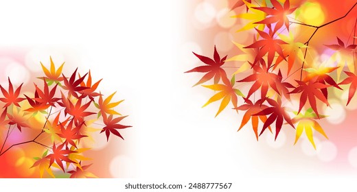 Autumn Leaves Maple Tree Autumn Background