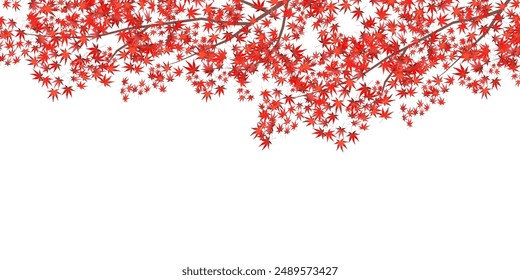 Hojas de otoño Árbol de arce Fondo de otoño